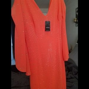 Bebe flutter sleeve dress